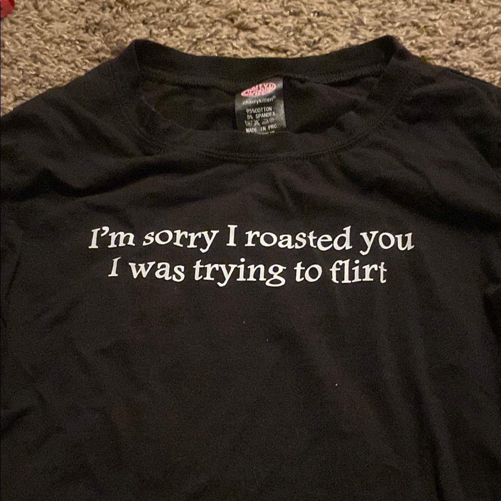 Black Graphic Tee - I'm Sorry I Roasted You